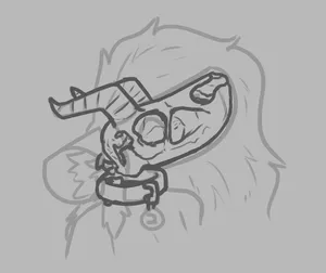 A sketch of pebble’s skull, drawn 2025-08-21