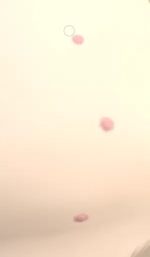 a closeup of the belly nipples, showing that they have depth defined by the shadows.